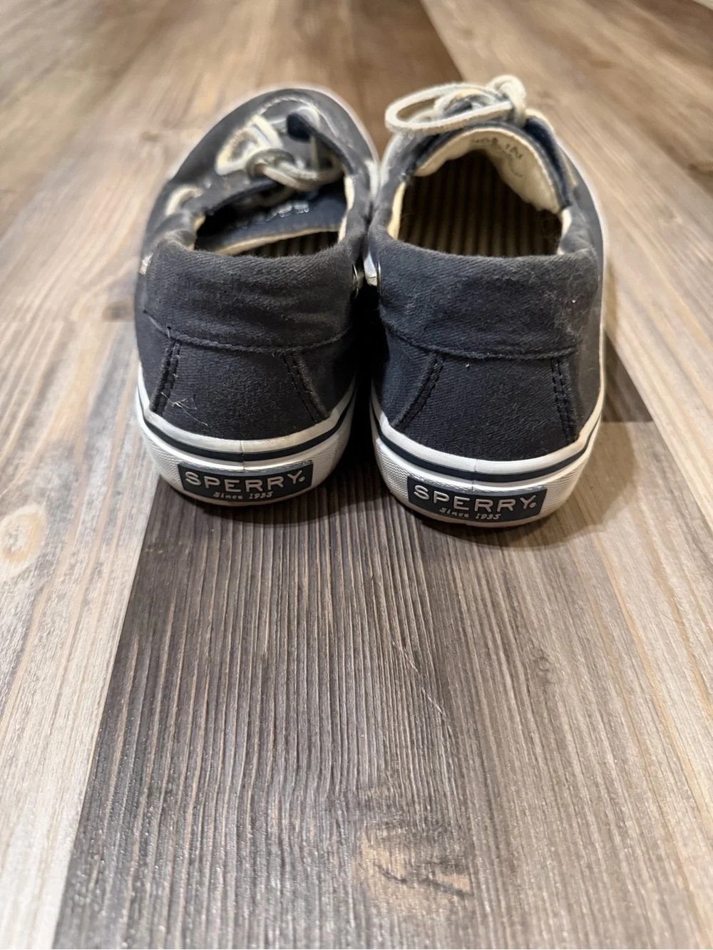 Sperry Men’s Navy Canvas Boat Shoes